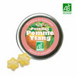 Pastilles bio Pomme Ylang 45g