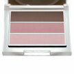 Fard &agrave; paupi&egrave;res Trio Ros&eacute; n&deg;1 Bio 4,5g