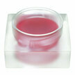 Gloss &agrave; l&egrave;vres bio n&deg;04 Funky red 3ml
