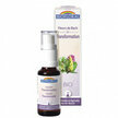 Transformation - Complexe n&deg;15 Fleurs de Bach bio Spray 20ml