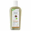 Shampoing Traitant Bio Capilargil R&eacute;g&eacute;n&eacute;rateur Cheveux Ab&icirc;m&eacute;s 250ml