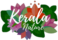 Kerala Nature - Cosmetiques ayurvediques naturels