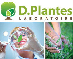 D Plantes Laboratoire - Vitamine D3