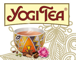 Yogi Tea Infusions bio ayurvédiques