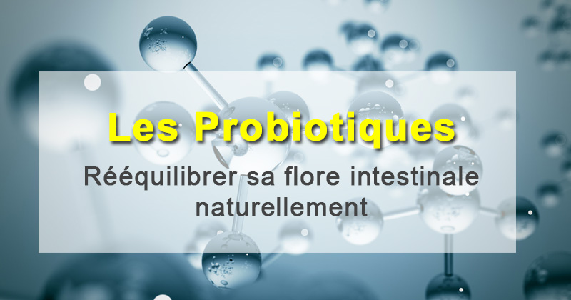 Rééquilibrer sa flore intestinale naturellement grâce aux probiotiques 