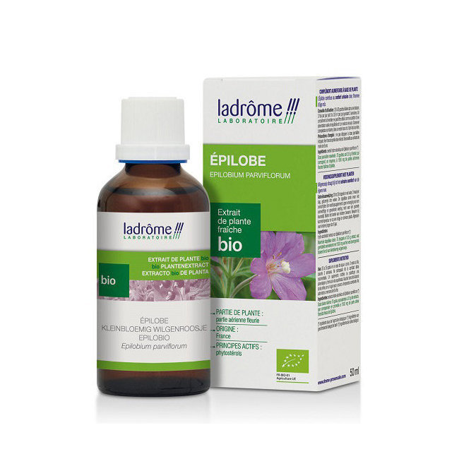 Epilobe - Extrait de plante fraiche bio 50ml