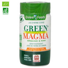 Green Magma Jus d'herbe d'orge bio en poudre 80g