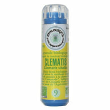 Clématis n°9 Fleurs de Bach bio simple granules sans alcool