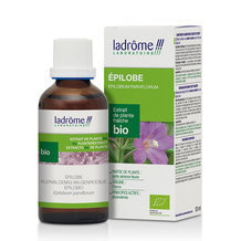 Epilobe - Extrait de plante fraiche bio 50ml