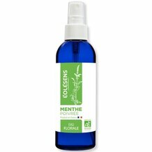 Eau Florale de Menthe poivrée Bio - Flacon spray 200ml