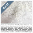 Oreiller en Duvet d'oie souple - 40 x 60 cm