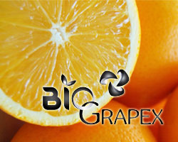 Logo Grapex - Extrait de pépins de pamplemousse bio