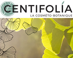 logo centifolia