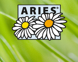 Rayon Aries - Solutions naturelles contre Insectes nuisibles, mites, moustiques, rampants