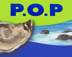 P.O.P Poudre d'huitres