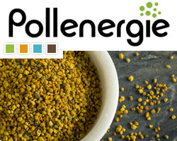 Rayon Pollenergie - Produits de la ruche bio