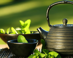 Thé vert bio, thé japonais, rooibos, matcha